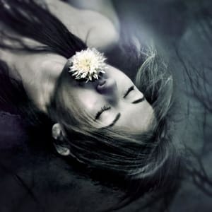 Artwork Title: Beautiful People Do Not Just Happen