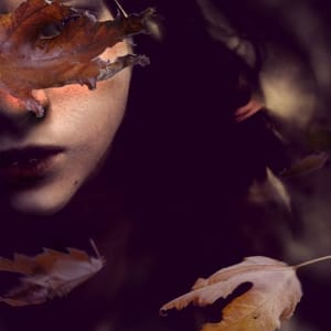 Artwork Title: The Season Of The Witch