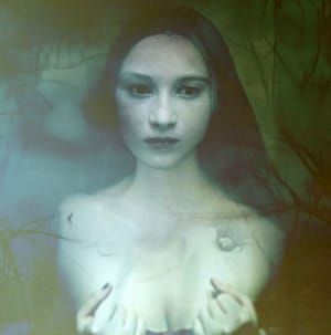 Artwork Title: Untitled