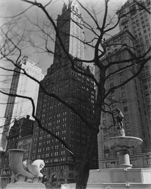 Artwork Title: Central Park Plaza, from Fifth Avenue at 58th Street