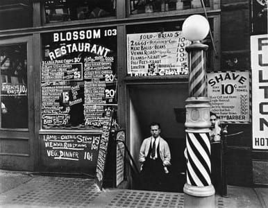 Artwork Title: Blossom Restaurant, 103 Bowery