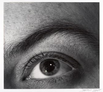 Artwork Title: (Muriel Rukeyser's Eye)