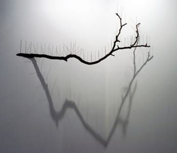 Artwork Title: 2 Acupuncture