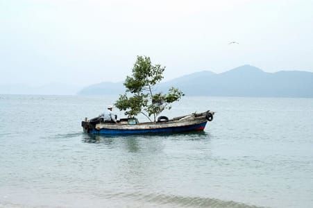 Artwork Title: Immigration (Tree Boat)