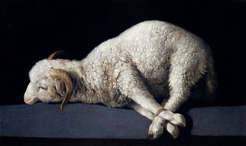 Artwork Title: Agnus Dei