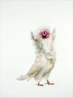 Artwork Title: Lovebird #2