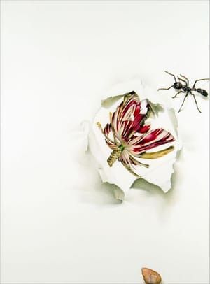 Artwork Title: Decoy #9