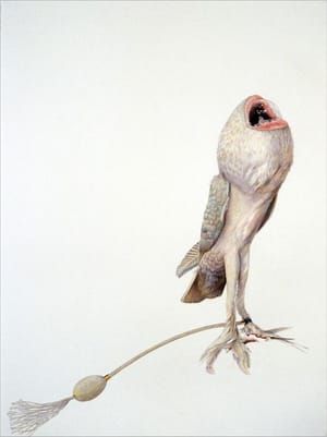 Artwork Title: Lovebird #5