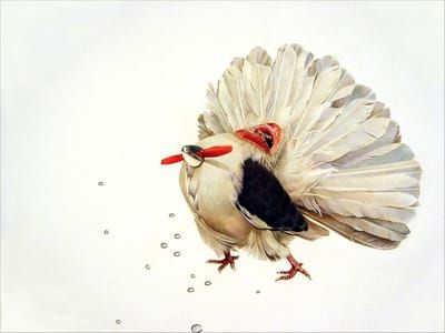 Artwork Title: Lovebird #6