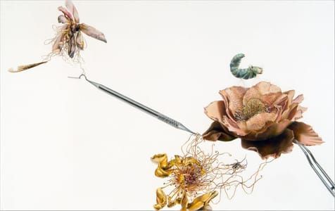 Artwork Title: Decoy #7
