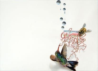 Artwork Title: Decoy #3