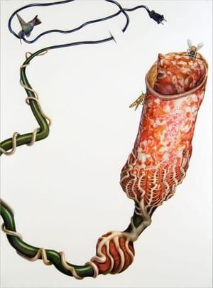 Artwork Title: Decoy #6