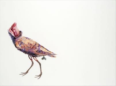 Artwork Title: Lovebird #1