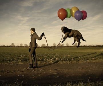 Artwork Title: Lazy Dog