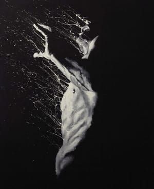 Artwork Title: Untitled