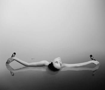 Artwork Title: Sinking