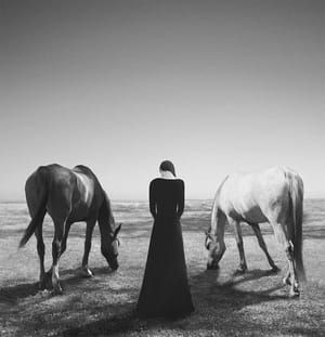 Artwork Title: The Good, The Bad And The Lost