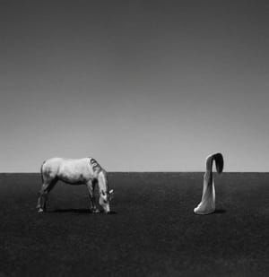Artwork Title: Untitled