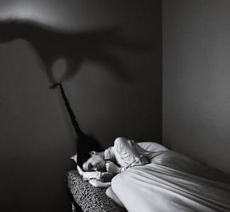 Artwork Title: Nightmare