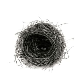 Artwork Title: Nest Ii