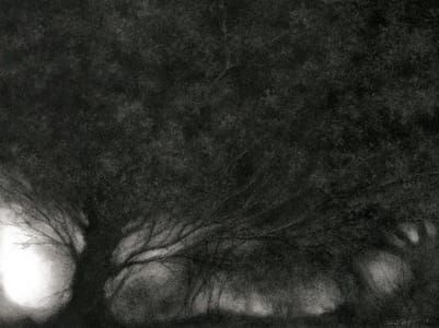 Artwork Title: And They Hummed of Mystery, Charcoal & Carbon on Arches mounted on Wood