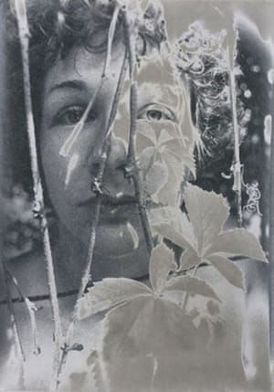 Artwork Title: Untitled (Willich)