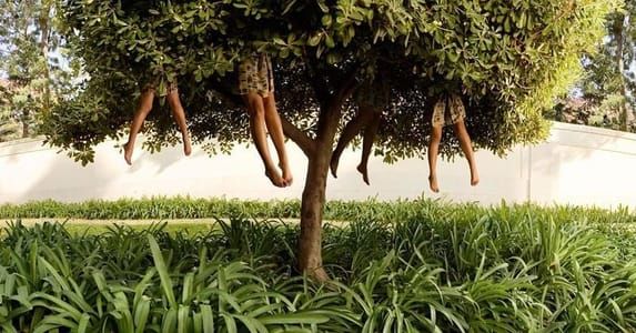 Artwork Title: Lissabon - Tree