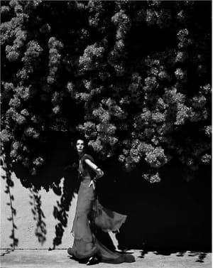 Artwork Title: Untitled