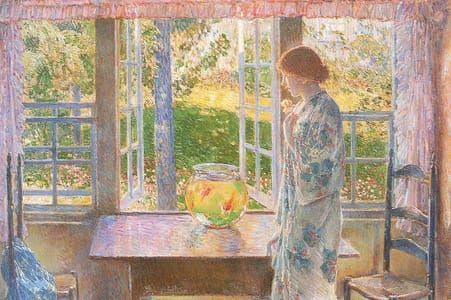 Artwork Title: The Goldfish Window