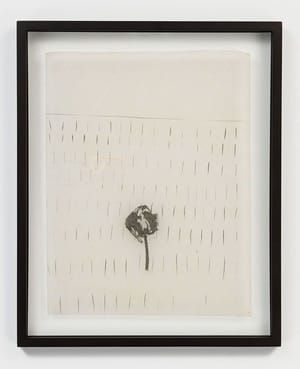 Artwork Title: Untitled