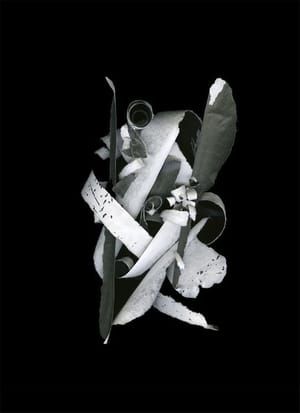 Artwork Title: Re Collection Series