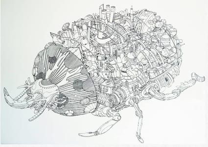 Artwork Title: Nature Phenomenon