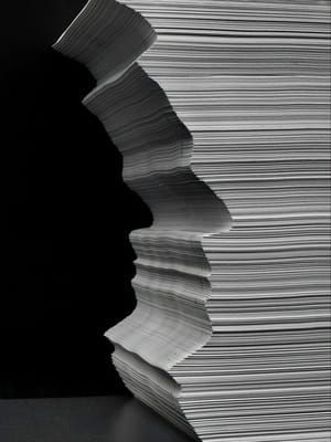 Artwork Title: Paper Self