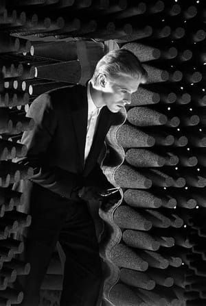 Artwork Title: David Bowie