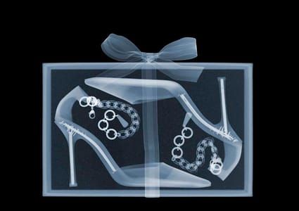 Artwork Title: Jimmy Choo