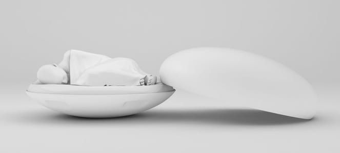 Artwork Title: The Womb