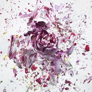 Artwork Title: High Speed Flower Explosion
