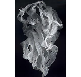 Artwork Title: Untitled