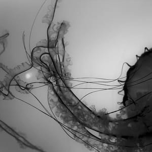 Artwork Title: Untitled