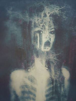Artwork Title: Untitled
