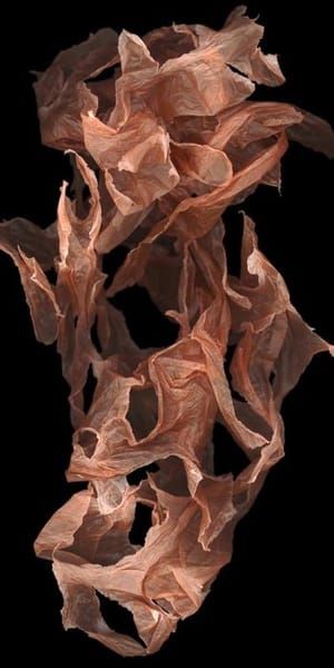 Artwork Title: Untitled