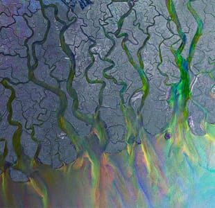 Artwork Title: Ganges' Dazzling Delta