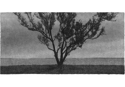 Artwork Title: Untitled