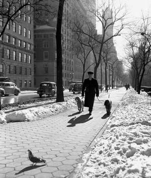 Artwork Title: Dog Walker