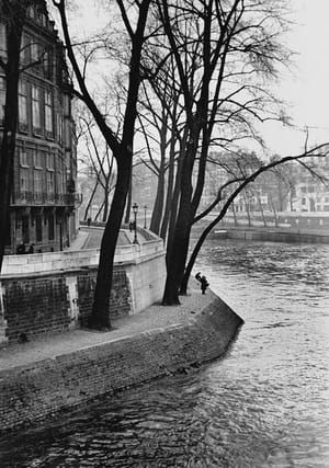 Artwork Title: Bend in River