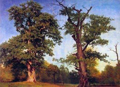 Artwork Title: Pioneers of the Woods