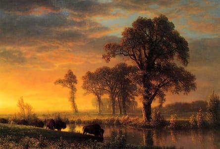 Artwork Title: Western Kansas
