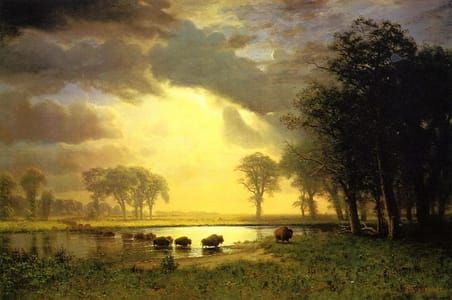 Artwork Title: The Buffalo Trail