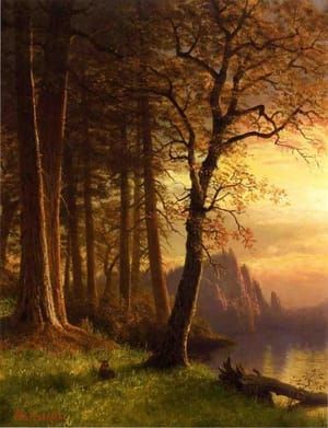 Artwork Title: Sunset in California, Yosemite