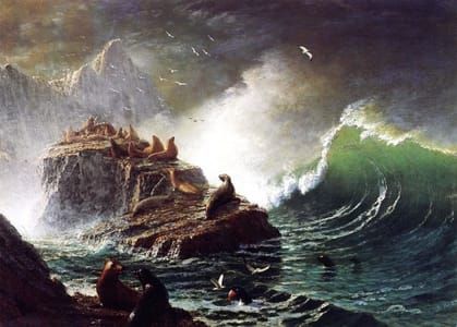 Artwork Title: Seals on the Rocks, Farallon Islands